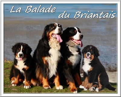 de La Balade du Briantais